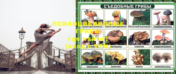 a pvp Алексин
